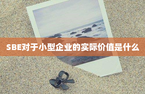 SBE对于小型企业的实际价值是什么