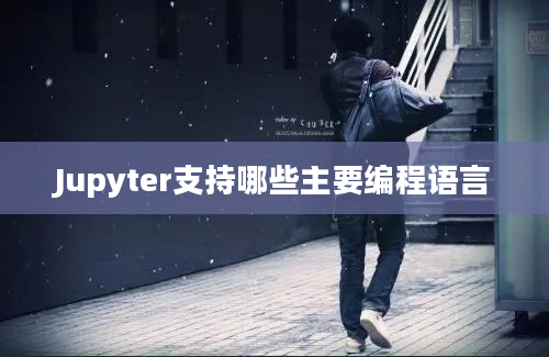 Jupyter支持哪些主要编程语言