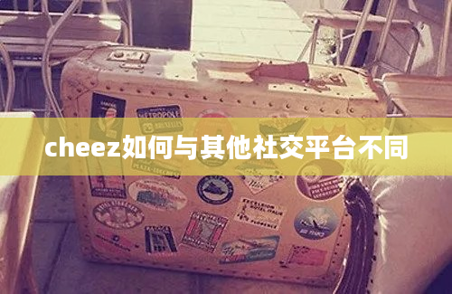 cheez如何与其他社交平台不同