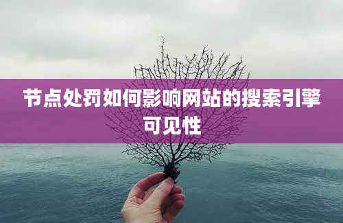 节点处罚如何影响网站的搜索引擎可见性