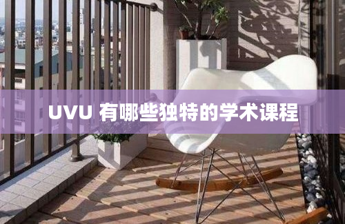 UVU 有哪些独特的学术课程