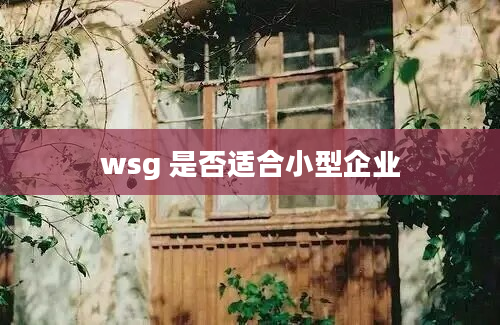 wsg 是否适合小型企业