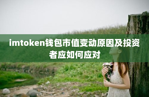 imtoken钱包市值变动原因及投资者应如何应对