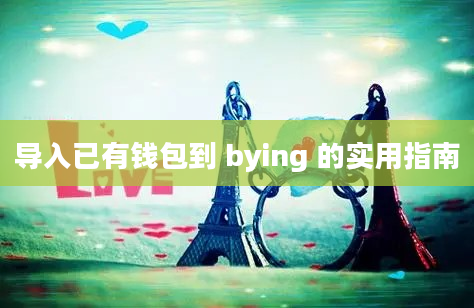 导入已有钱包到 bying 的实用指南