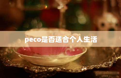 peco是否适合个人生活