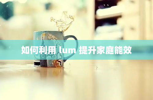 如何利用 lum 提升家庭能效