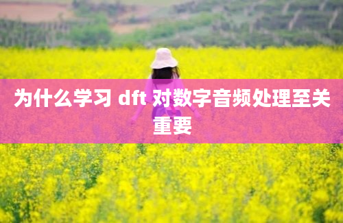 为什么学习 dft 对数字音频处理至关重要