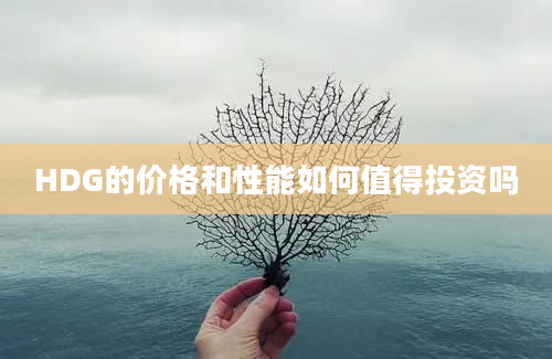 HDG的价格和性能如何值得投资吗