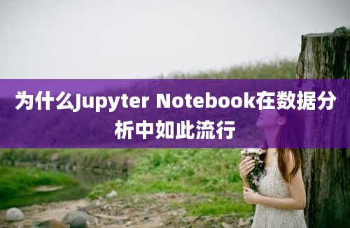 为什么Jupyter Notebook在数据分析中如此流行