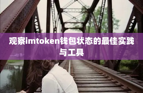 观察imtoken钱包状态的最佳实践与工具