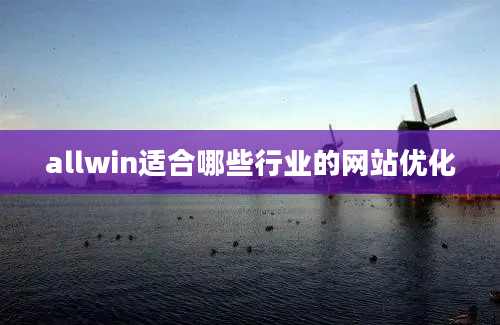 allwin适合哪些行业的网站优化