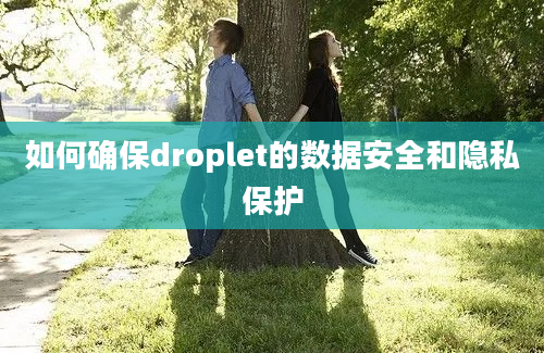 如何确保droplet的数据安全和隐私保护