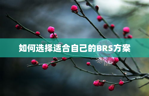 如何选择适合自己的BRS方案