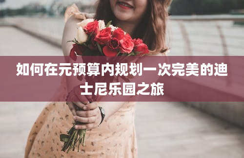 如何在元预算内规划一次完美的迪士尼乐园之旅