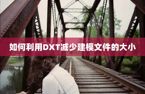 如何利用DXT减少建模文件的大小