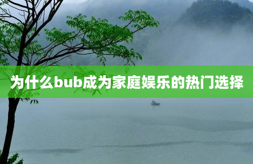 为什么bub成为家庭娱乐的热门选择