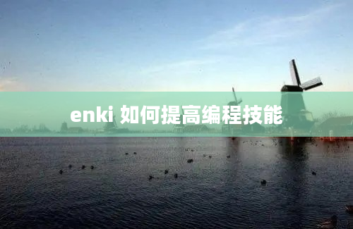 enki 如何提高编程技能