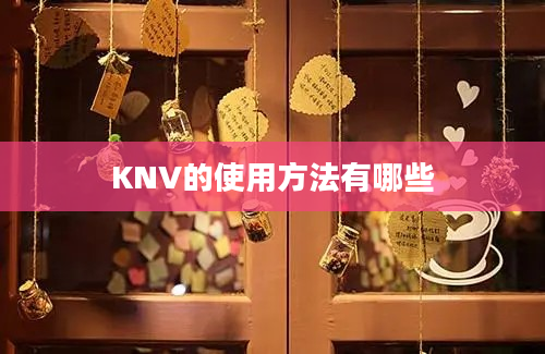 KNV的使用方法有哪些