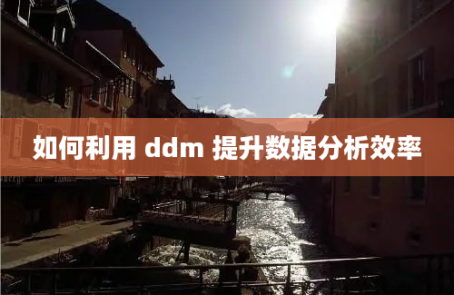 如何利用 ddm 提升数据分析效率