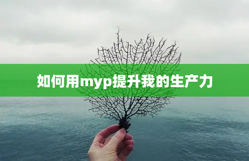 如何用myp提升我的生产力