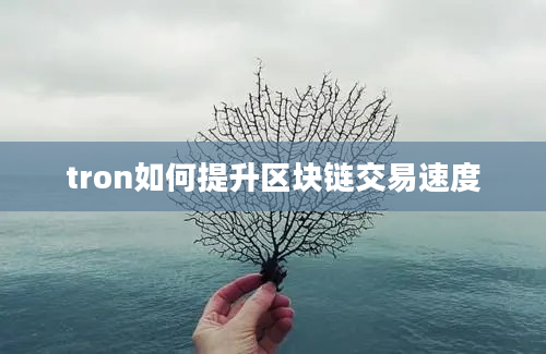 tron如何提升区块链交易速度