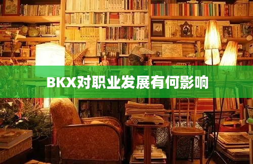 BKX对职业发展有何影响