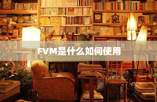 FVM是什么如何使用