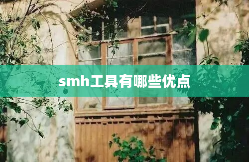 smh工具有哪些优点