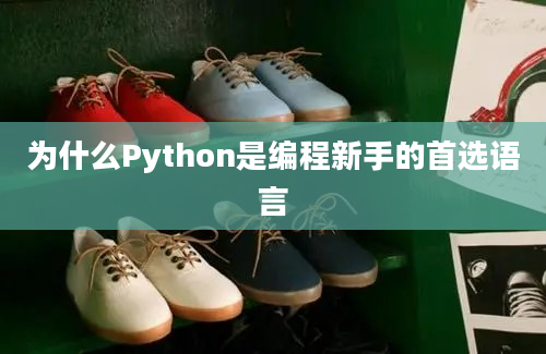 为什么Python是编程新手的首选语言