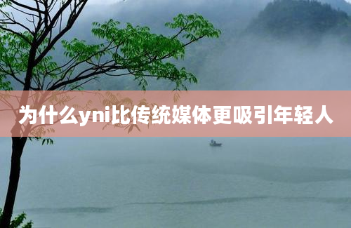 为什么yni比传统媒体更吸引年轻人