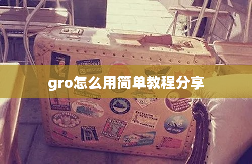 gro怎么用简单教程分享