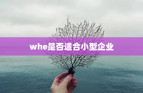 whe是否适合小型企业