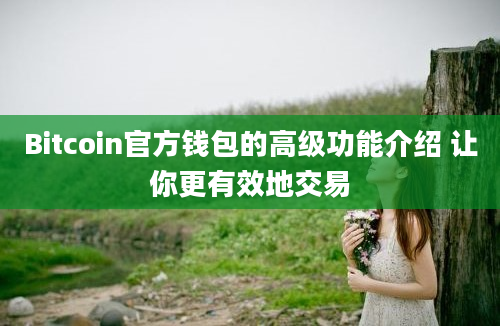 Bitcoin官方钱包的高级功能介绍 让你更有效地交易