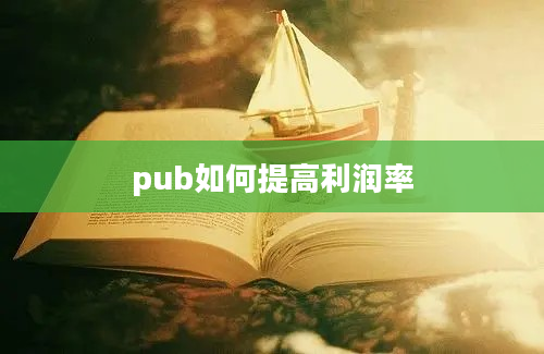 pub如何提高利润率