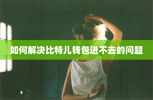 如何解决比特儿钱包进不去的问题