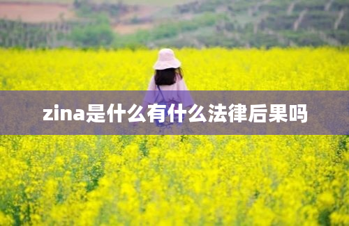 zina是什么有什么法律后果吗