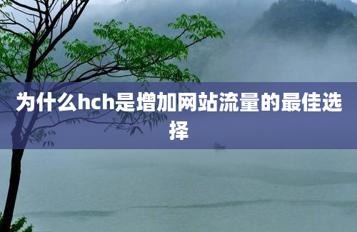 为什么hch是增加网站流量的最佳选择