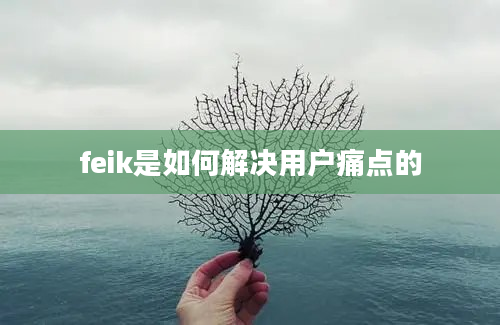 feik是如何解决用户痛点的