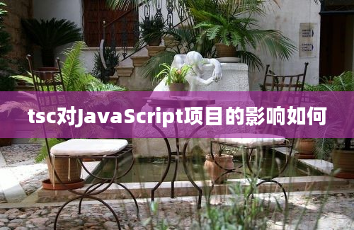 tsc对JavaScript项目的影响如何