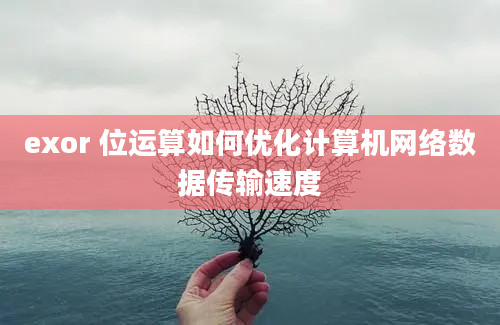 exor 位运算如何优化计算机网络数据传输速度