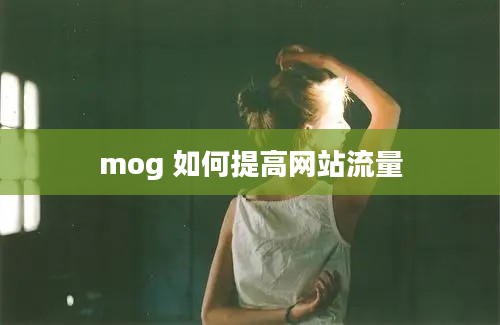 mog 如何提高网站流量