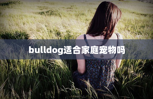 bulldog适合家庭宠物吗