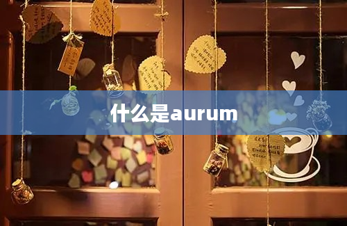 什么是aurum