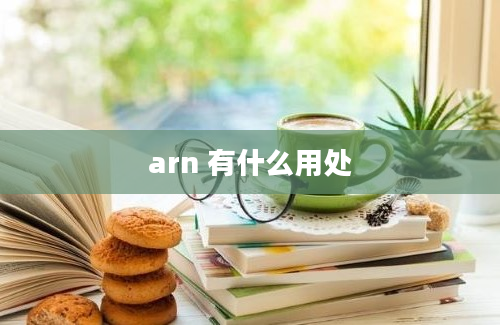 arn 有什么用处