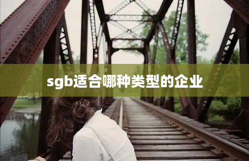 sgb适合哪种类型的企业