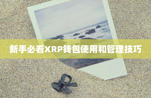 新手必看XRP钱包使用和管理技巧