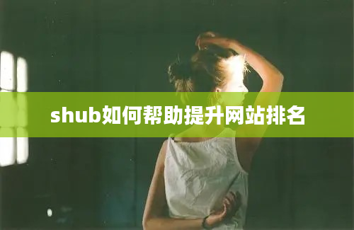 shub如何帮助提升网站排名