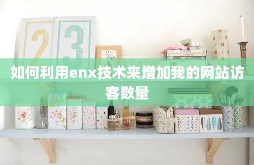 如何利用enx技术来增加我的网站访客数量