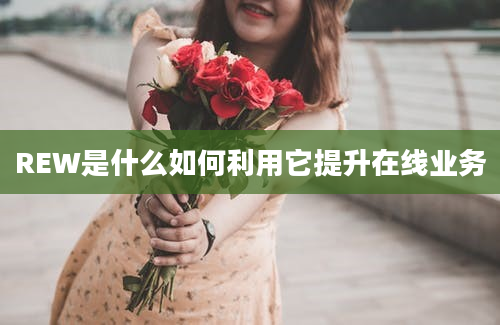 REW是什么如何利用它提升在线业务