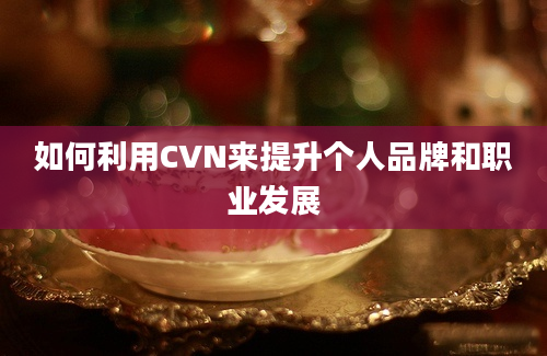 如何利用CVN来提升个人品牌和职业发展